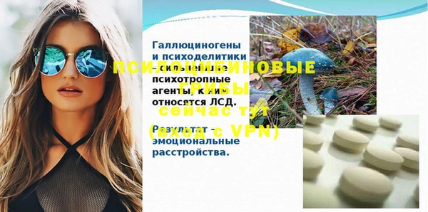 прущие крисы Кущёвская