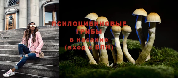 мяу мяу мука Иноземцево