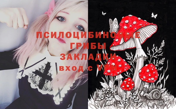 альфа пвп Александровское