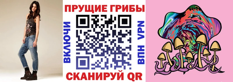 Галлюциногенные грибы Psilocybe  Норильск 
