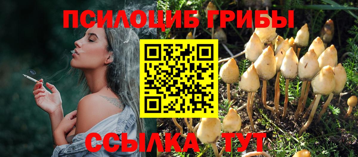 Норильск  Псилоцибиновые грибы GOLDEN TEACHER  Вход с VPN 
