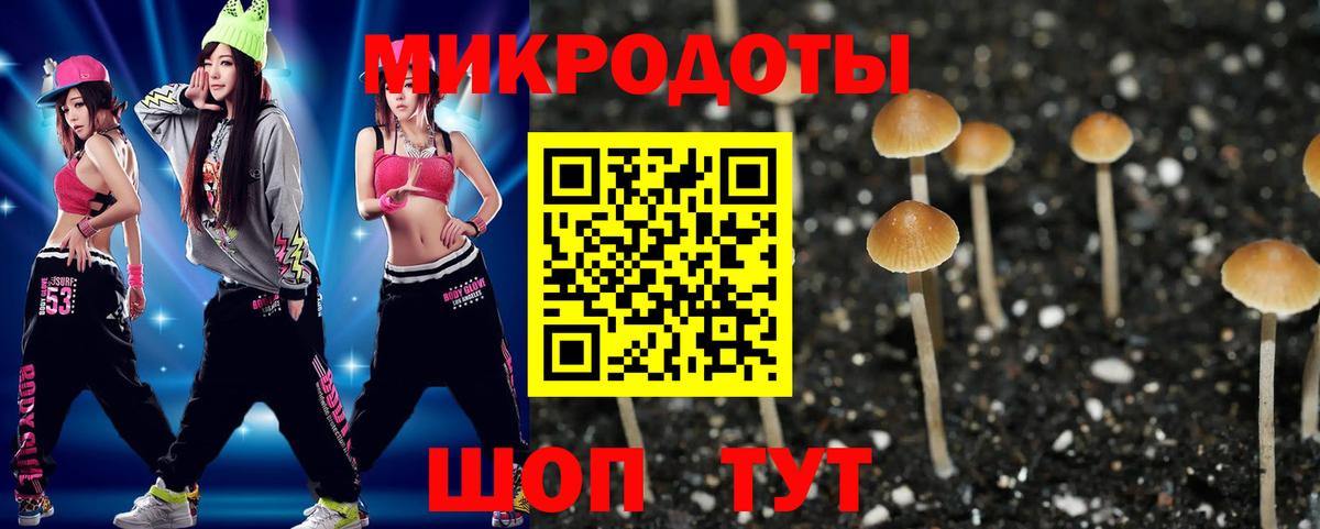 Псилоцибиновые грибы мицелий Норильск