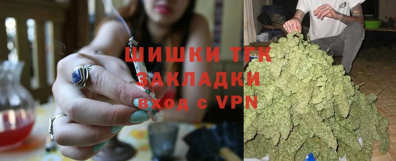 Конопля SATIVA & INDICA  мориарти как зайти  Норильск 